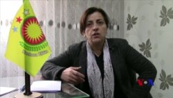 Hêvî Mustefa û Rewşa Efrînê
