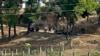 Nearly 100 Myanmar Border Guards Flee to Bangladesh
