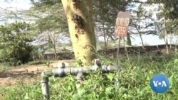 Water Harvesting and Recycling Technology to Help Kenya Cut Shortages 