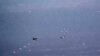 Máy bay SU-34 và SU-35 của quân đội Nga thả pháo sáng trên đường bay của máy bay không người lái MQ-9 Reaper của Không quân Hoa Kỳ, phía dưới bên trái, trên bầu trời Syria, ngày 6/7/2023.
