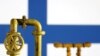 За повідомленнями офісу президента Фінляндії, НАТО буде допомагати у розслідуванні інциденту, внаслідок якого було зруйновано газопровід. Фото: графіка Reuters, трубопровід на фоні фінського прапору