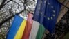 Ukrainadagi vengerlar nega qo'shni yurtga qochmoqda?