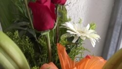 Cruzar flores de México a EEUU podría terminar en sanción