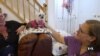 Maryland Residents Run Nonprofit to Save Senior Dogs