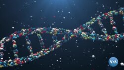 Sintetik biologiya: DNKda ma’lumot saqlash texnologiyasi