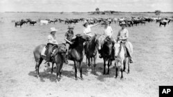 Wartime Cowgirls