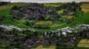 US Probing Alleged Atrocities Against Myanmar's Rohingya Muslims