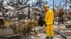 Search, rescue and recovery personnel conduct search operations of areas damaged by Maui wildfires