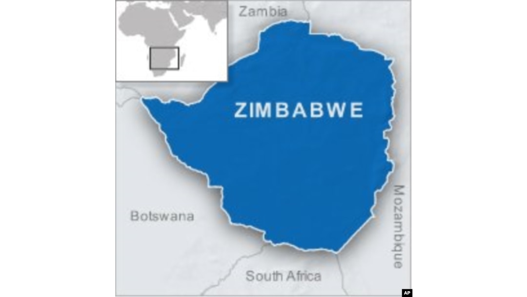 Zimbabwe Legislator Freed on Bail After Calling President Gay