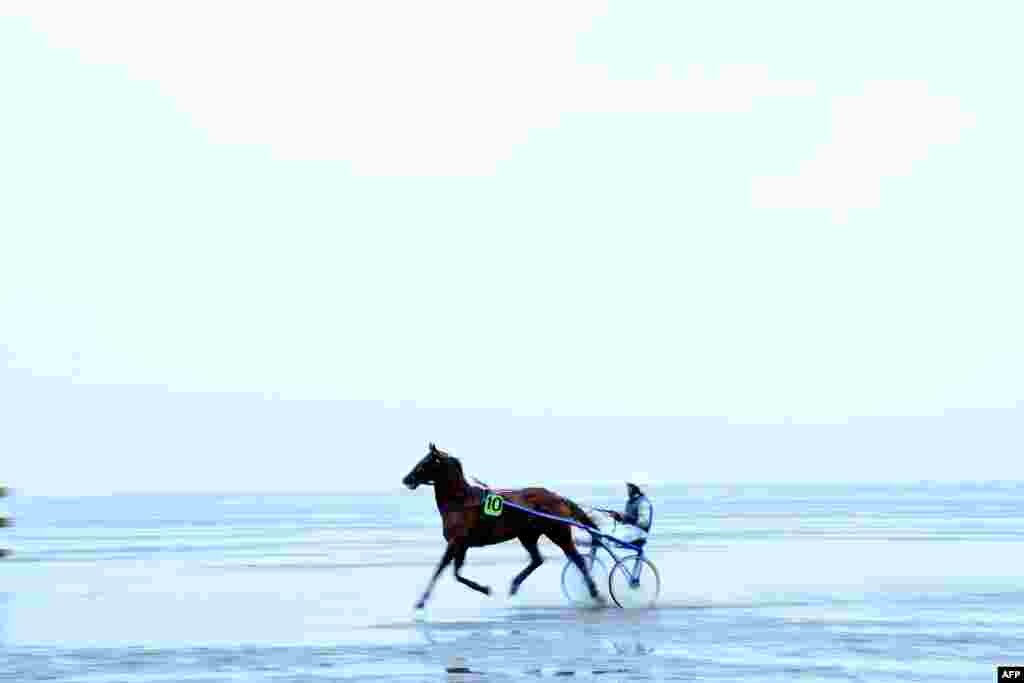 A rider performs during the "Dhuner Wattrennen" mud flat race in Cuxhaven, nothern Germany.