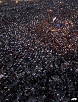 Qohira, 1 fevral 2011