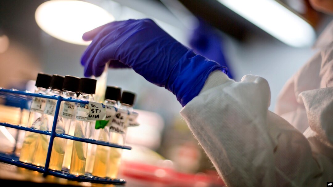 FILE - A microbiologist works with tubes of bacteria samples at the Centers for Disease Control and Prevention in Atlanta, Nov. 25, 2013.