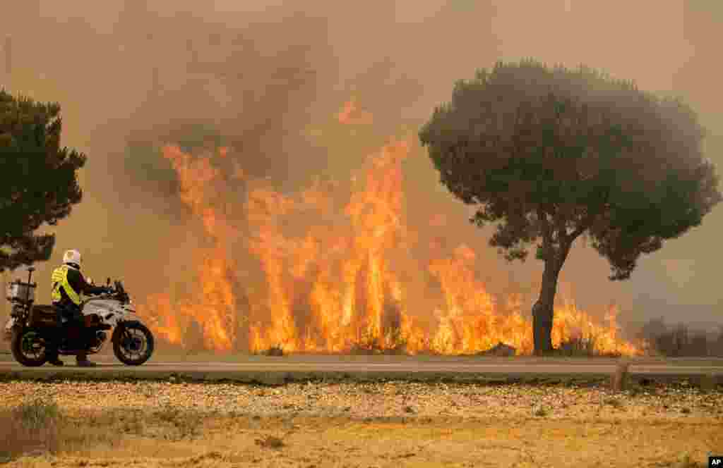 A forest fire near Mazagon in southern Spain has forces the evacuation of around 1,000 people and is threatening Donana National Park, one of the country's most important nature reserves and a UNESCO World Heritage site since 1994, and famous for its biodiversity, June 25, 2017.