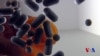 16x9 Image