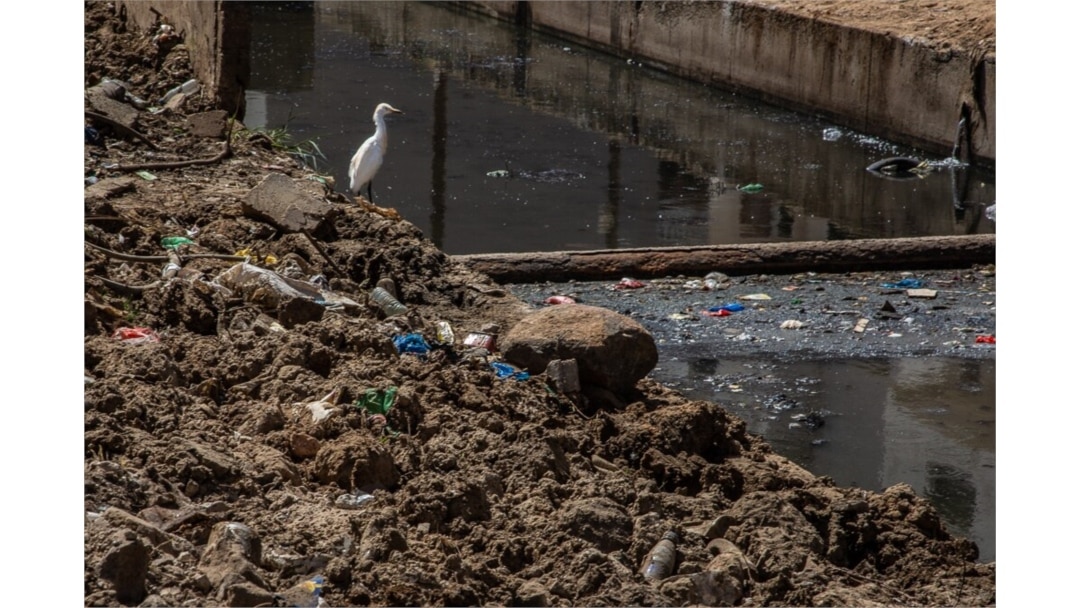 A bird stands atop a mound of rubbish overlooking a polluted canal in Dakar, Senegal, Apr. 23, 2021.