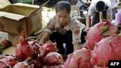 Theo dự báo của Bộ Công Thương, kim ngạch xuất khẩu rau quả của Việt Nam trong năm 2011 sẽ ở mức 500 triệu đô la, tăng 10% so với năm 2010