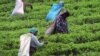 Challenges for Rural Women Focus of UN Women's Conference
