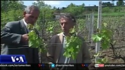 Bujqësia sfidë e ekonomisë shqiptare