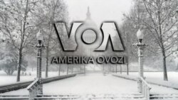 Amerika Manzaralari: Jurnalistlar, viza, Falastin
