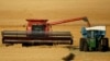 AQSh fermerlarining bugundi dardi - tariflar