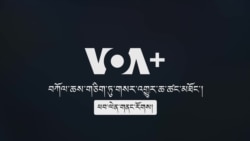བརྙན་འཕྲིན་འཕྲུལ་ཆས་TVདང་ལག་ཁྱེར་ཁ་པར་ནང་བཀོལ་ཆས།