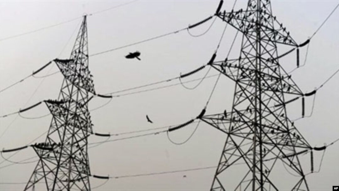 Birds sit on high voltage electricity towers on the outskirts of New Delhi (April 2010 file photo)