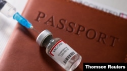 In Europe, the commission suggested the certificates would allow EU residents who can prove they have been vaccinated, as well as those who tested negative for the virus or have proof they recovered from it, to move freely around the continent.