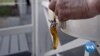 Beekeeping Brings Income to West Virginia