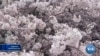16x9 Image