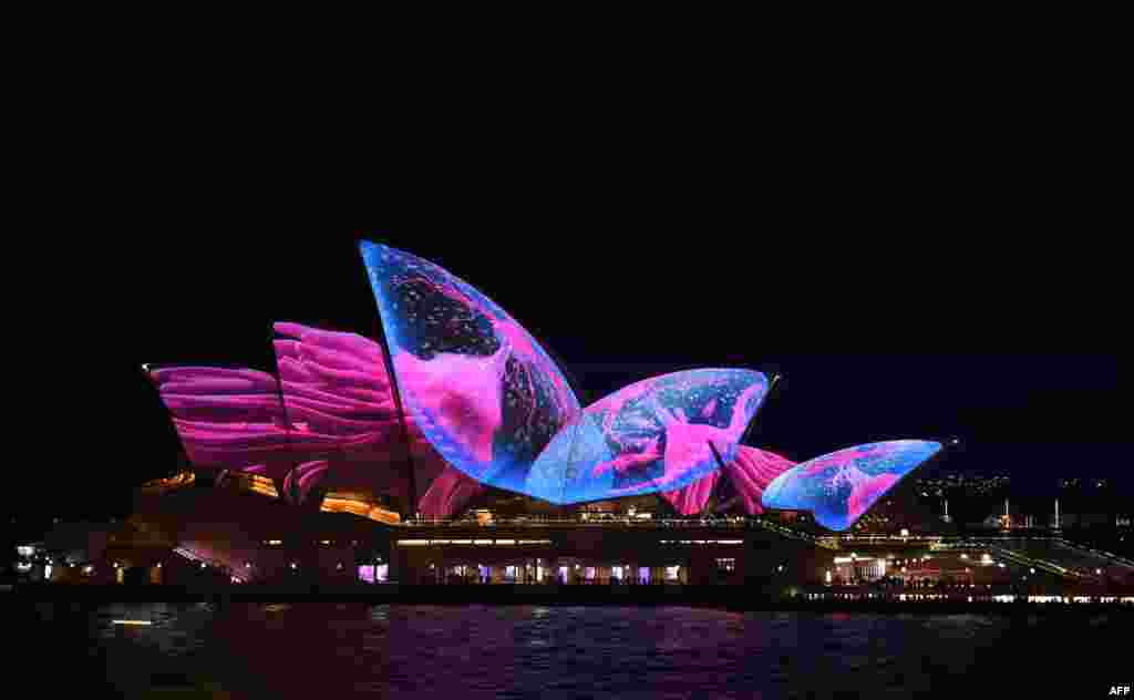 A light show called "Vivid" changes the appearance of the Sydney Opera House, Australia.