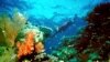 Experts: Global Warming Threatens Oceans and World Food Security