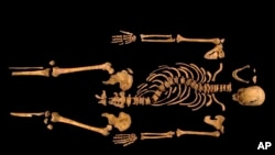 Remains of English King Richard III Identified