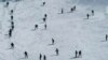 Kashmir mojarosi turizmga ta'sir qilmoqda