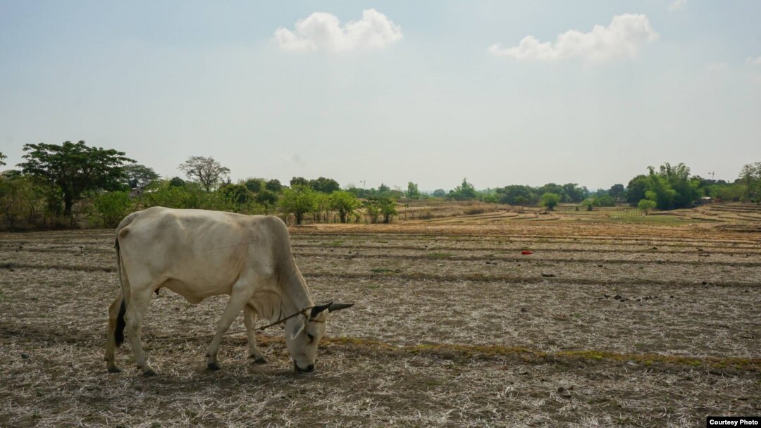 The Philippines is suffering from severe drought. A prototype drone cloud seeder is in the works. (Photo courtesy of WMO Louis Darrien II)