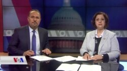 Sînem Mihemed: Mualîm Bîr Kiriye ku Çi Hatiye Serê Sûrîyê