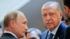 Putin-Erdog'an kelishuvi qanchaga yetadi?