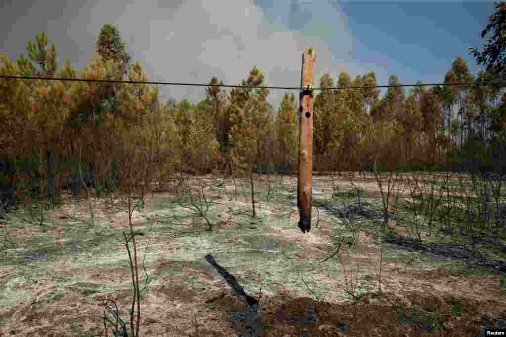A burned lamp post is seen next to the village of Gaviao, Portugal.