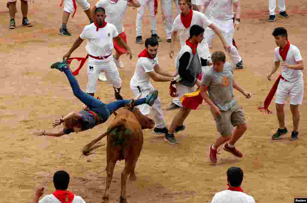 A wild cow charges at a reveler in the bullring following the fifth running of the bulls at the San Fermin festival in Pamplona, Spain.