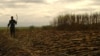 A worker harvests sugarcane near Swaziland's capital, Mbabane, June 2005.