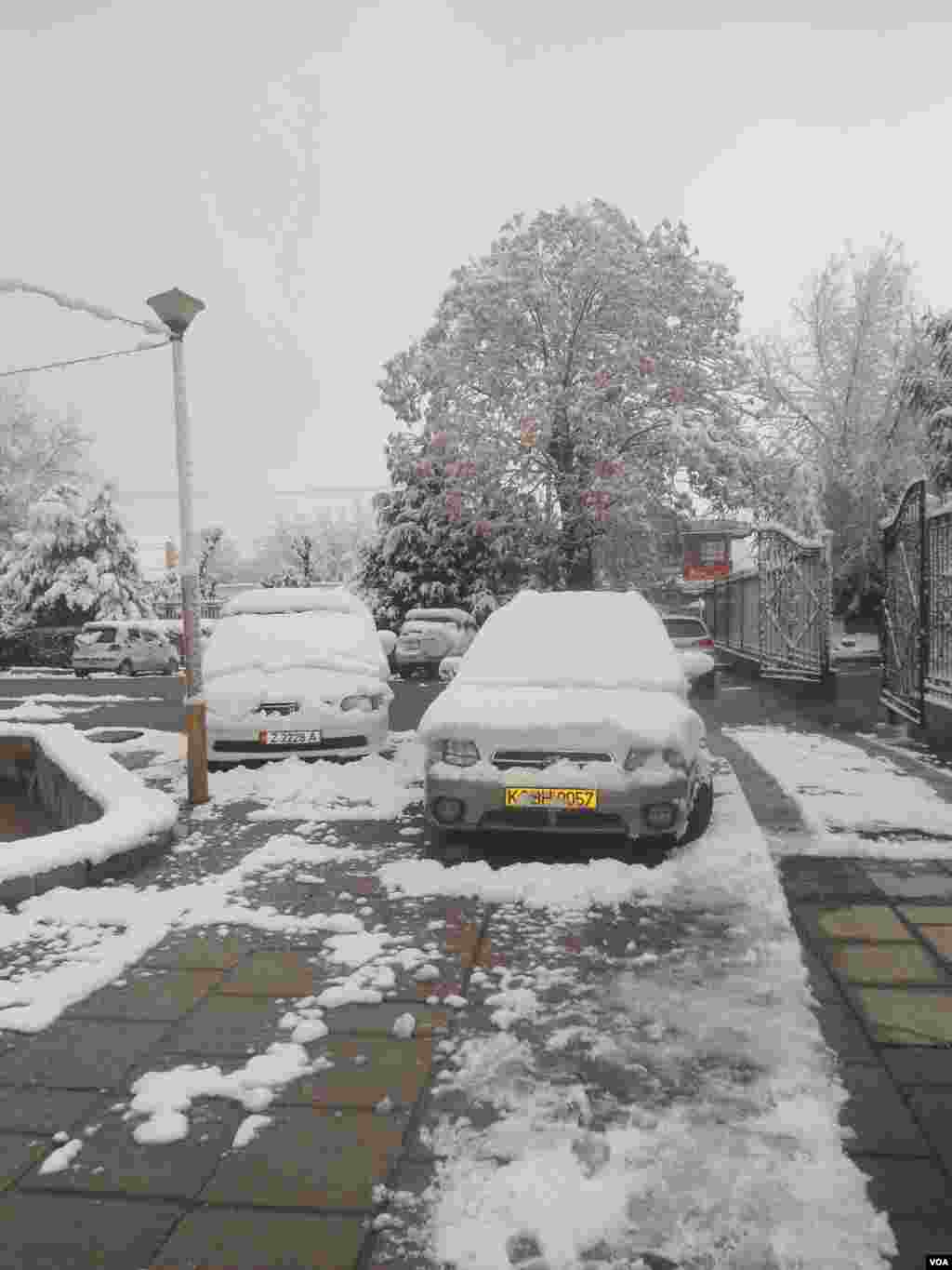 O'shda qor yog'di... Qish manzaralari