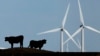 Texas - muqobil energiya sohasida yetakchi