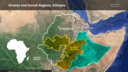 ኣብ ክልል ኦሮምያ ዝረአ ዘይምርግጋእ ብልዝብ ክፍታሕ ባህላዊ ኣመሓደር’ቲ ክልል ጸዊዖም