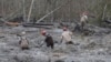 VOA On the Scene: Waist-deep Muck Challenges Search for Mudslide Victims 