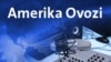 Rossiyadagi mehnat muhojirlari, Ayollar koalitsiyasi/Navbahor Imamova