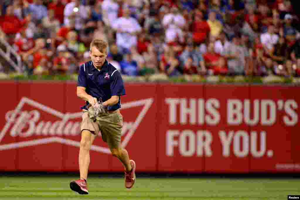 A member of the St. Louis Cardinals ground crew runs off the field with a cat that ran on the field during the sixth inning against the Kansas City Royals at Busch Stadium in St. Louis, Missouri, Aug. 9, 2017. (Credit: Jeff Curry/USA TODAY Sports)