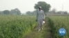 Why a Village in North India Supports Farmers Protesting New Laws