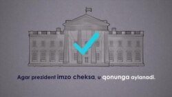 AQShda qonunlar qanday qabul qilinadi?