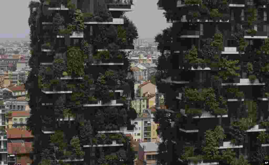 The twin towers of the 'Bosco Verticale' (Vertical Forest) residential buildings are at the Porta Nuova district, frame a view of Milan, Italy. Designed by the Boeri studio, it was named “2015 Best Tall Building Worldwide” by the Council on Tall Buildings and Urban Habitat.