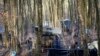 Conditions Deteriorate for Thousands of Migrants Stranded in Bosnia 