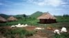 FILE - Dead cattle and surrounding compounds in Nyos village, Sept. 3, 1986. (Credit: USGS)